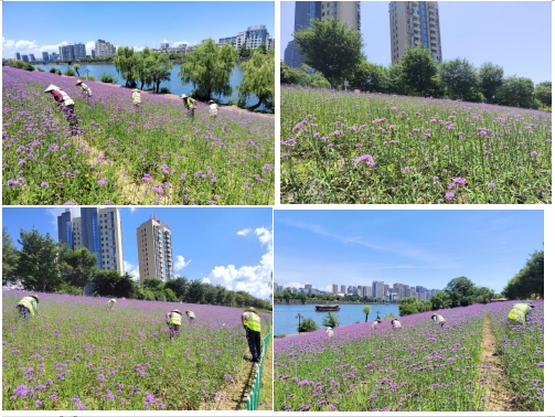 微信截圖_20250704174056.png